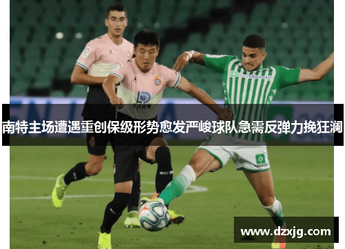 南特主场遭遇重创保级形势愈发严峻球队急需反弹力挽狂澜