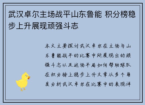 武汉卓尔主场战平山东鲁能 积分榜稳步上升展现顽强斗志