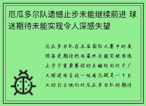 厄瓜多尔队遗憾止步未能继续前进 球迷期待未能实现令人深感失望