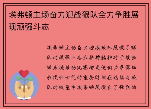 埃弗顿主场奋力迎战狼队全力争胜展现顽强斗志