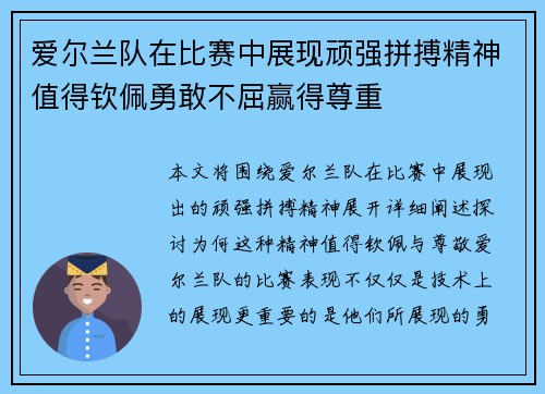 爱尔兰队在比赛中展现顽强拼搏精神值得钦佩勇敢不屈赢得尊重